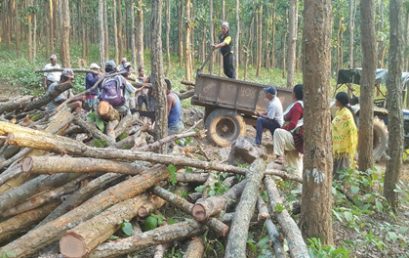 Community based management of forest resources in Nepal