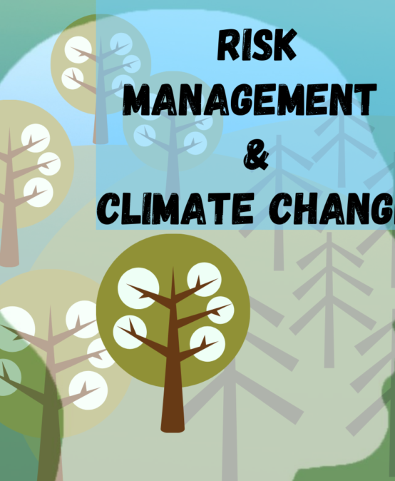 Risk Management in the context of Climate Change