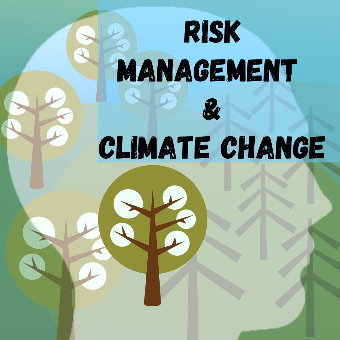 Risk Management In The Context Of Climate Change | The German ...