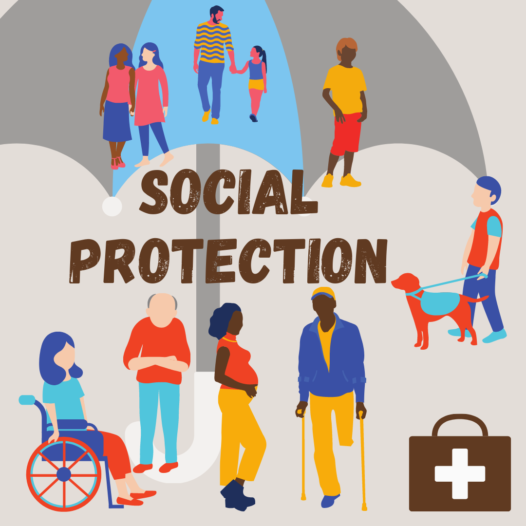 Introduction to Social Protection: A Systems Approach to Universal Social Protection