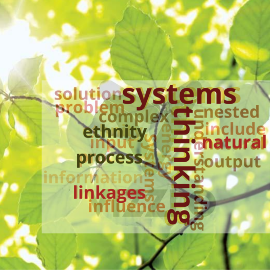 Holistic science and systems thinking