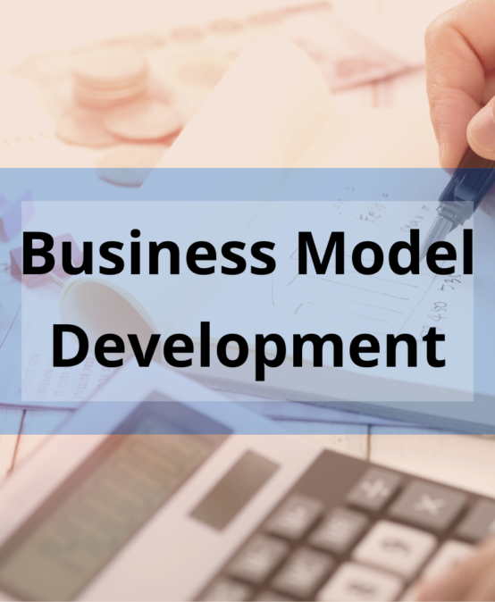 Business Model Development for International Students