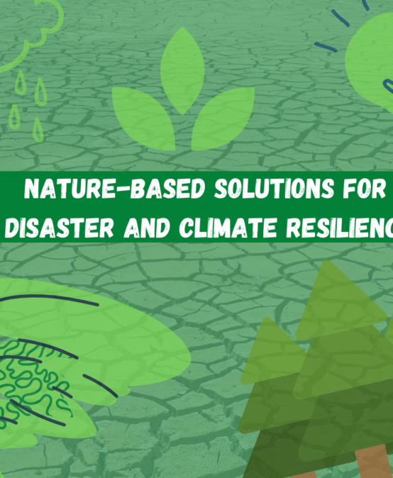 Nature-based Solutions for Disaster and Climate Resilience
