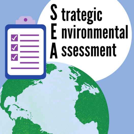 Strategic Environmental Assessment (SEA): Concepts and Applications
