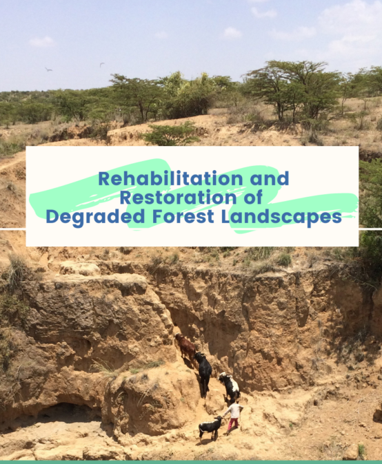 Rehabilitation and Restoration of Degraded Landscapes