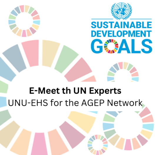 E-Meet the UN Expert. UN agencies in Bonn ‑ their role and perspectives in achieving the SDGs