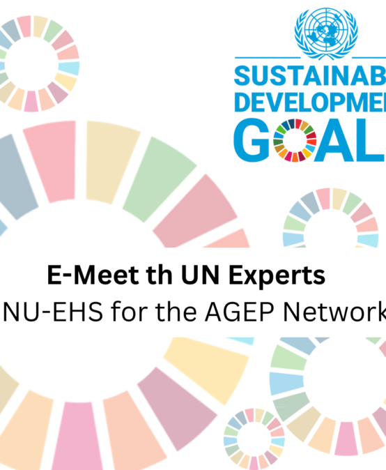 E-Meet the UN Expert. UN agencies in Bonn ‑ their role and perspectives in achieving the SDGs