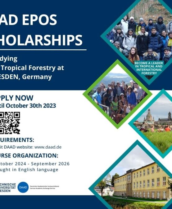 Call for Applications: Fully funded DAAD EPOS scholarship to study M.Sc. in Tropical Forestry (academic intake 2024-26) in Dresden, Germany