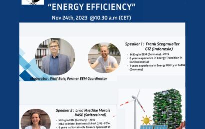 Flensburg Renewable Energy Dialog -FRED : a monthly webinar series organized by EEM