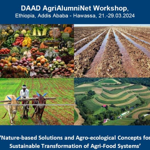 Nature-based Solutions and Agro-ecological Concepts for Sustainable Transformation of Agri-Food Systems