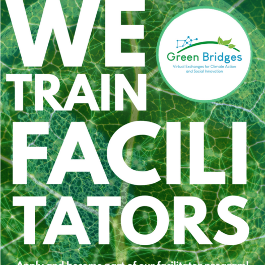 Facilitator Training