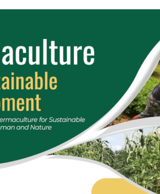 Permaculture for Sustainable Development